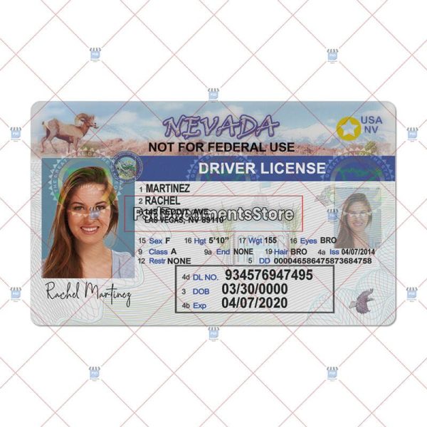 Nevada Driver License PSD Template PSD Doc Store