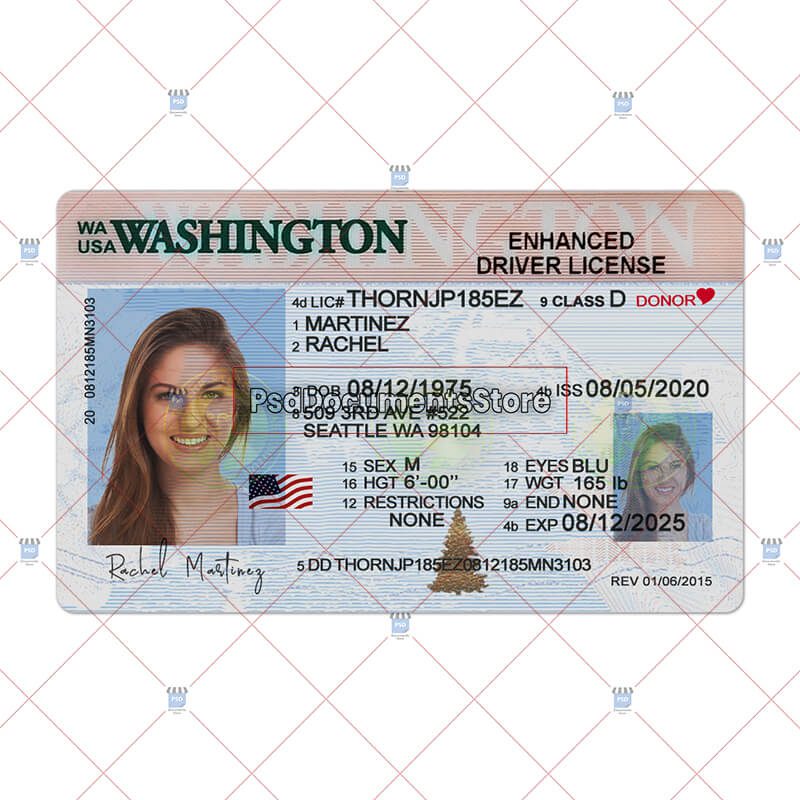 Washington Driver License Template PSD Documents Store